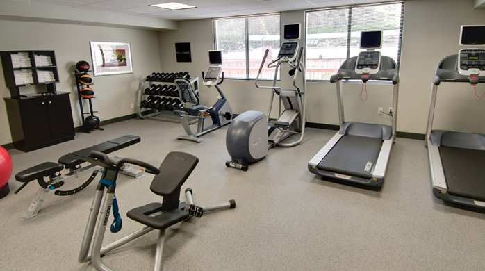 smallgymbusinessplan