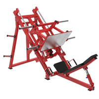 45 Degree Leg Press 