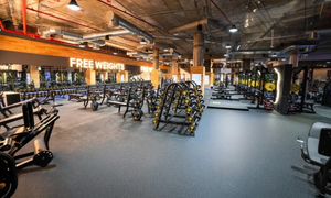 2025 Global Fitness Industry Report Key Insights and Opportunities for Equipment Manufacturers3..jpg