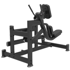  Commercial Pendulum Kickback Machine