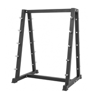 Hot Selling Premium A-Frame Fixed Barbell Storage Rack