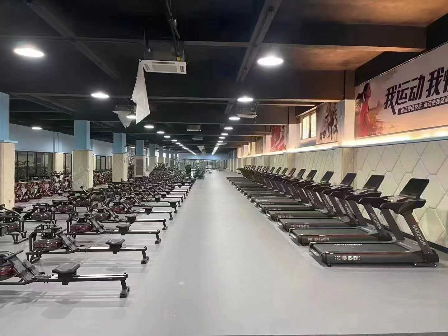 Commercial Gym Equipment Suppliers China: Your Ultimate Guide to Choosing the Best Partner