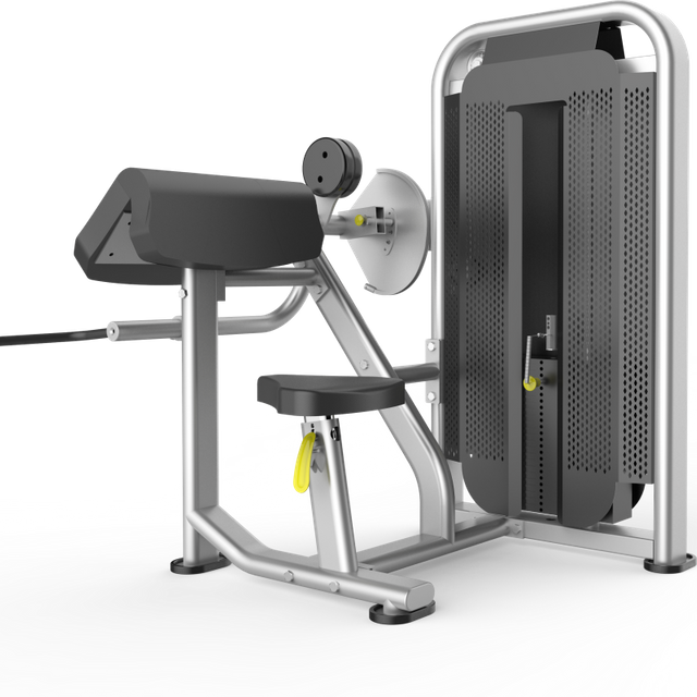 Arm Curl Machine for Fitness