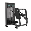 Selectorized Equipment Seated DIP
