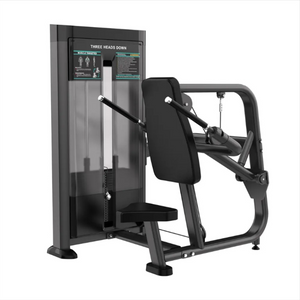 XYSFITNESS Commercial Seated Dip Machine (XYE615)