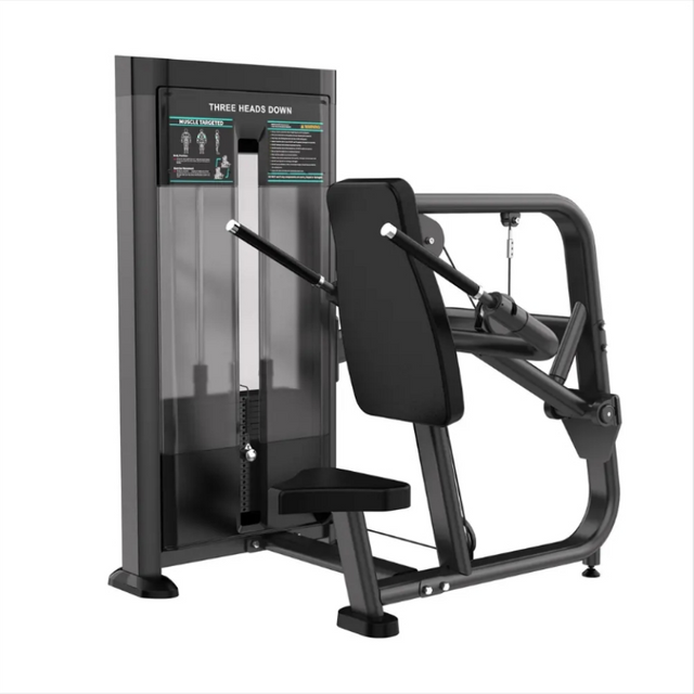 Selectorized Equipment Seated DIP