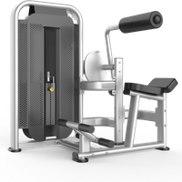 Back Extension Gym Equipment
