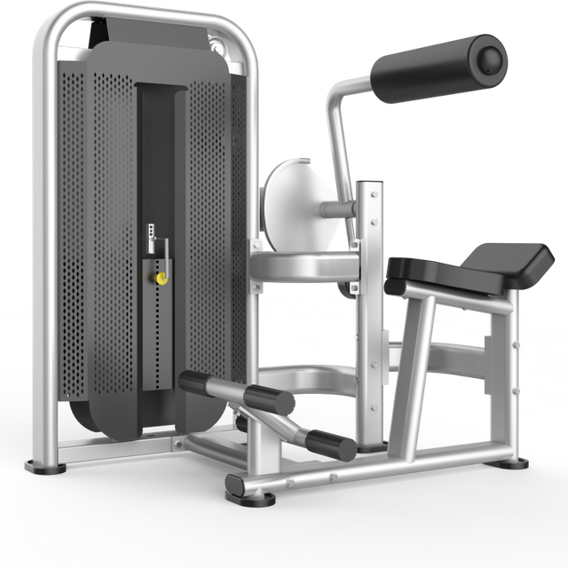 Back Extension Gym Equipment