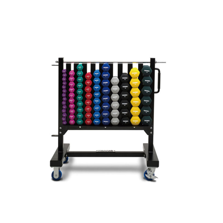 The Ultimate Guide to Choosing the Right Racks and Benches for Your Gym