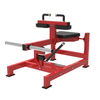 Seated Calf Machine
