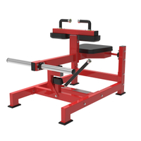 Seated Calf Machine