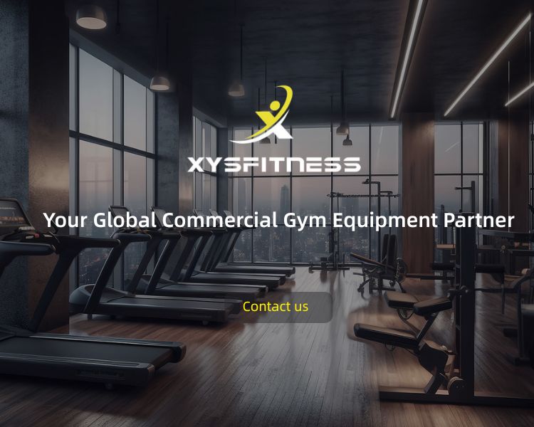 XYSFITNESS - Your Global Commercial Gym Equipment Partner (750 x 600 像素)