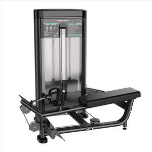 XYSFITNESS Commercial Long Pull / Seated Row Machine (XYE619)