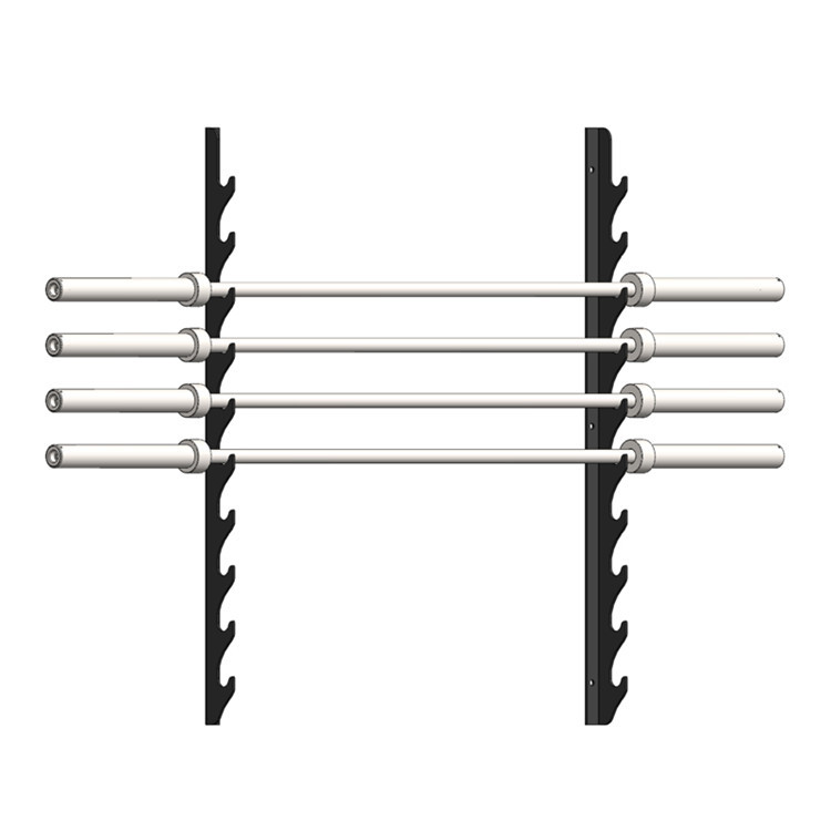 wall mount barbell rack