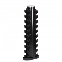 Gym Commercial Use 10 Pairs Dumbbell Rack