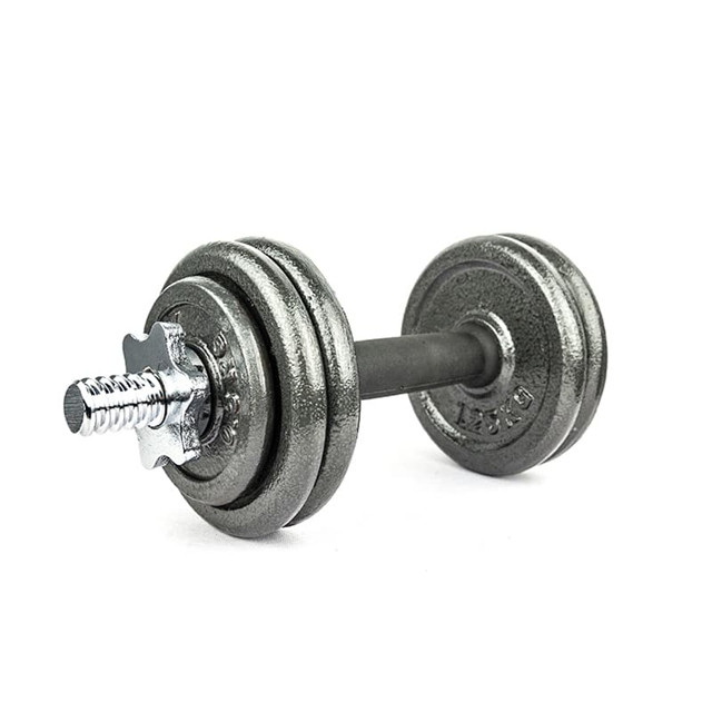 Spin Lock Dumbbells – Cost-effective Adjustable Dumbbell (10kg to 50kg Set)