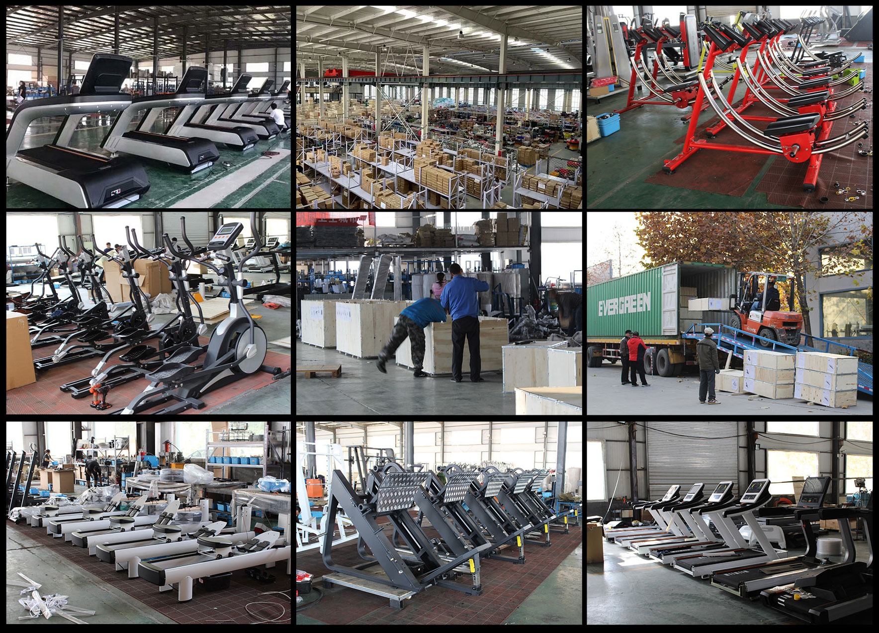 XYSFITNESS
