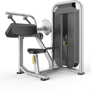 Commercial Triceps Extension Machine