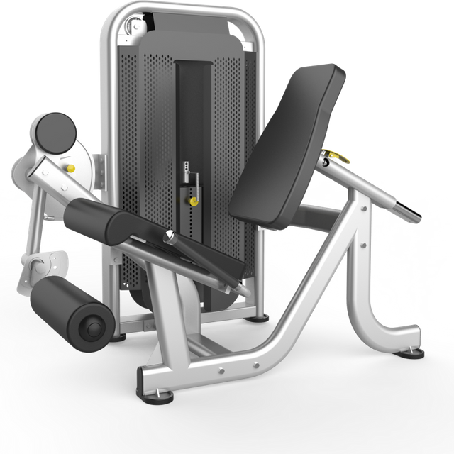 Leg Extension Selectorized Equipment