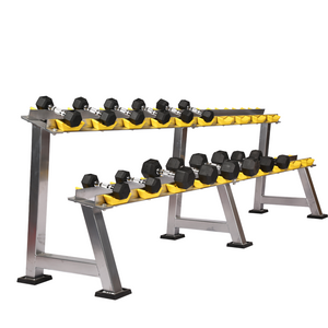 Heavy-Duty 2-Tier Rack with Hex Dumbbell Set