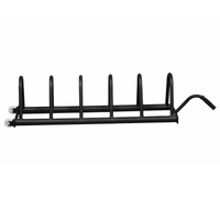 Horizontal SteelBody Weightlifting Bumper Plate Racks with Wheels