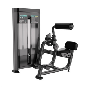 Commercial Back Extension Machine 